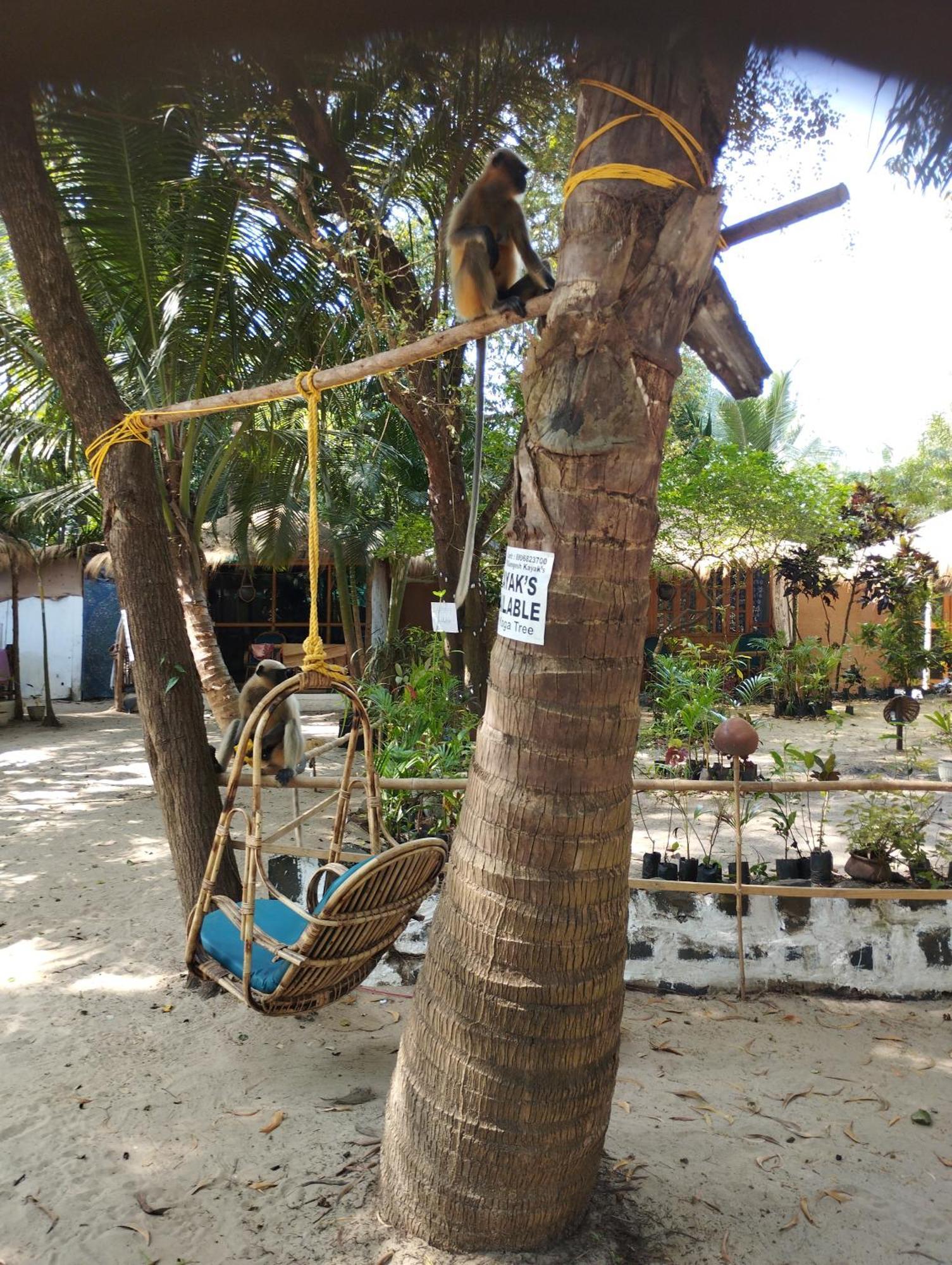 Hotel Ruban Yoga Palolem Exteriér fotografie