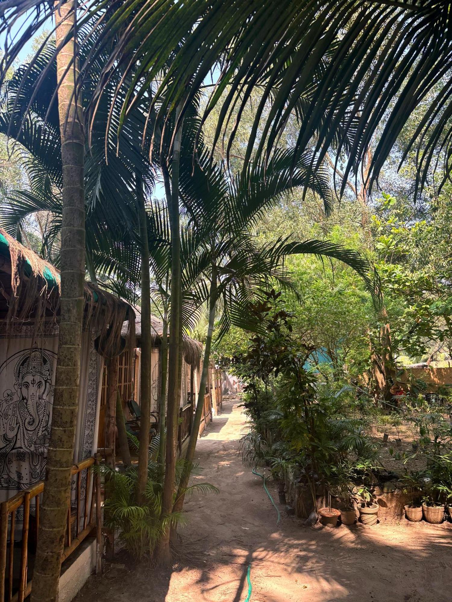 Hotel Ruban Yoga Palolem Exteriér fotografie