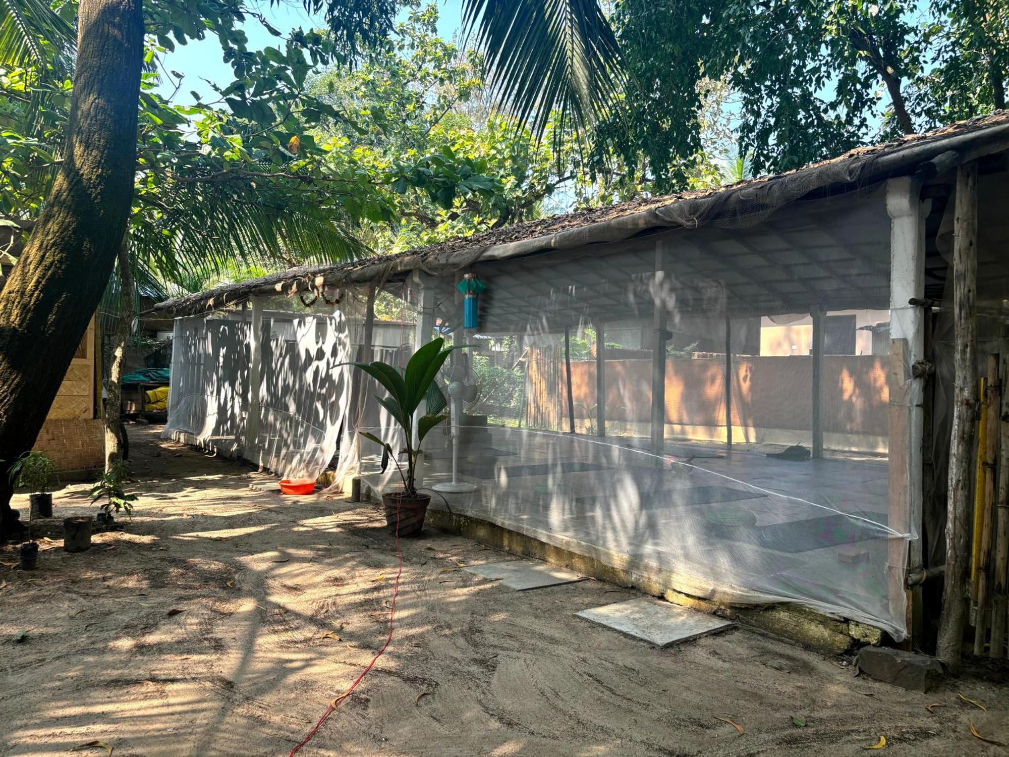 Hotel Ruban Yoga Palolem Exteriér fotografie